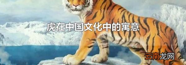 虎在中国文化中的寓意