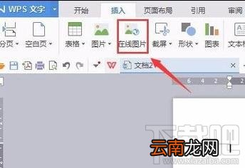 wps文字怎样插入在线图片？wps文字插入在线图片方法