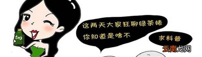 有哪些经典的绿茶语录？