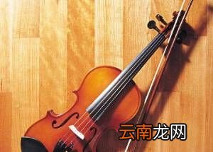 小提琴有几根弦？