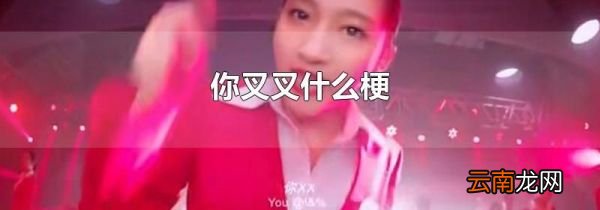 你叉叉什么梗