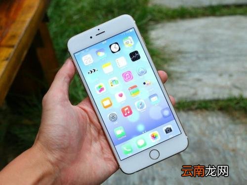 苹果手机中将相机声音关掉具体操作流程