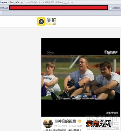 如何将新浪微博以及秒拍视频下载到本地？