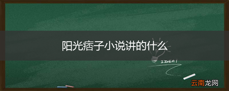 阳光痞子小说讲的什么