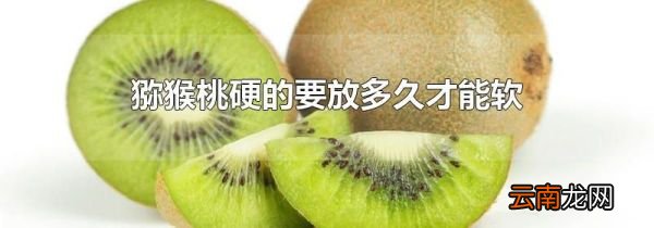 猕猴桃硬的要放多久才能软