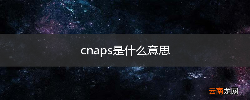 cnaps是什么意思