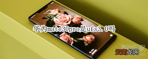 华为mate30pro是ufs3.0吗