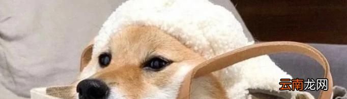 非常幽默搞笑的昵称有哪些？