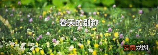 春天的别称