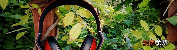 为什么给植物听音乐会长的更好？