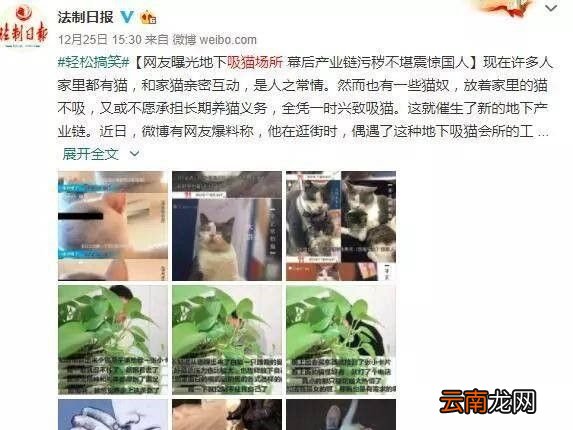 非法吸猫是什么意思？