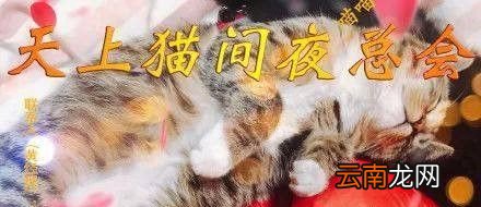 非法吸猫是什么意思？