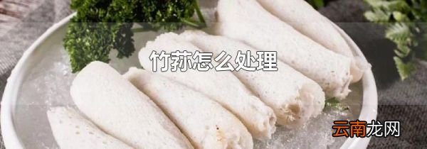 竹荪怎么处理