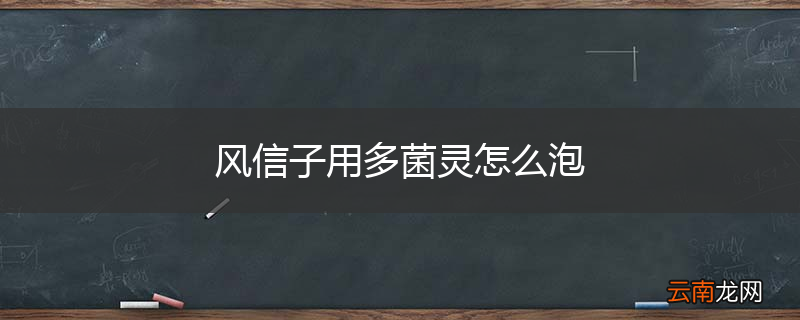 风信子用多菌灵怎么泡