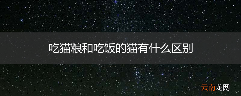 吃猫粮和吃饭的猫有什么区别