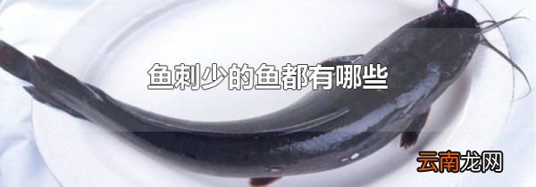 鱼刺少的鱼都有哪些