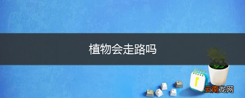 植物会走路吗