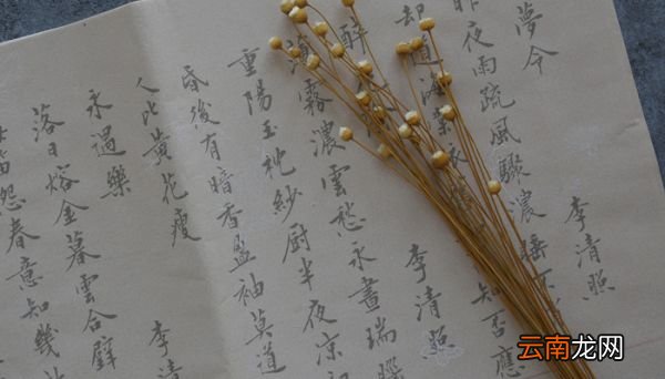 祂字的来历 祂字的出处