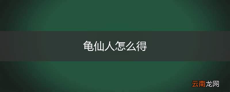 龟仙人怎么得