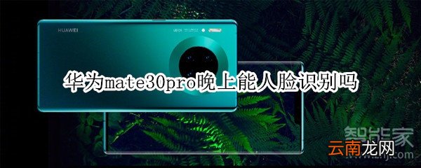 华为mate30pro晚上能人脸识别吗