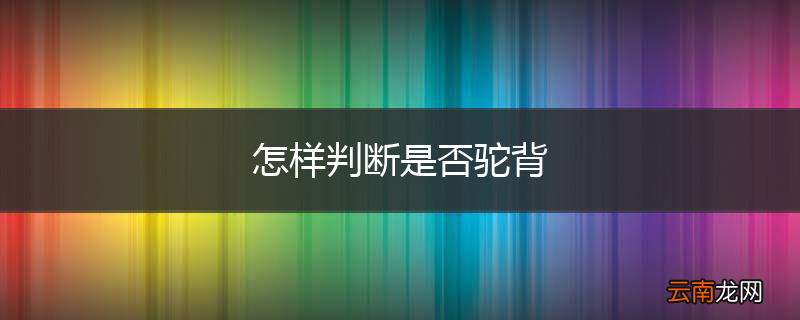 怎样判断是否驼背