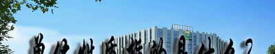 单位性质指的是什么？