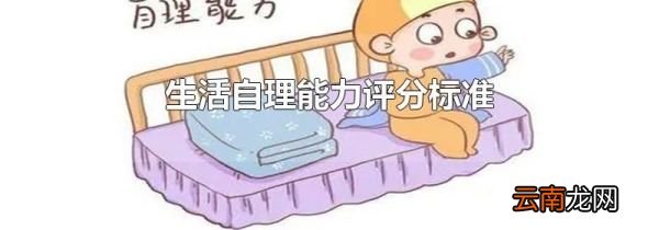 生活自理能力评分标准