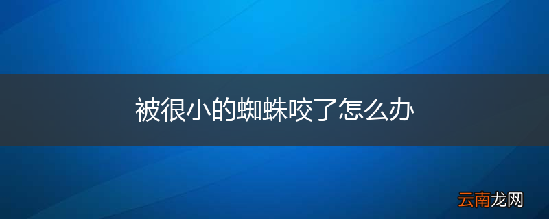 被很小的蜘蛛咬了怎么办