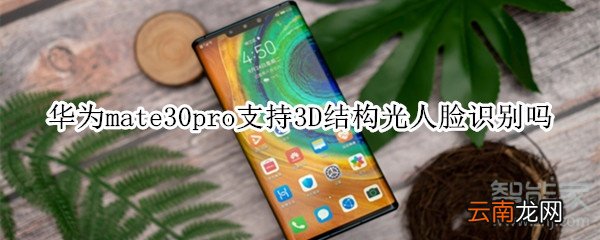 华为mate30pro支持3D结构光人脸识别吗