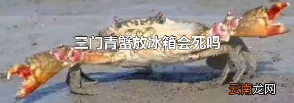 三门青蟹放冰箱会死吗