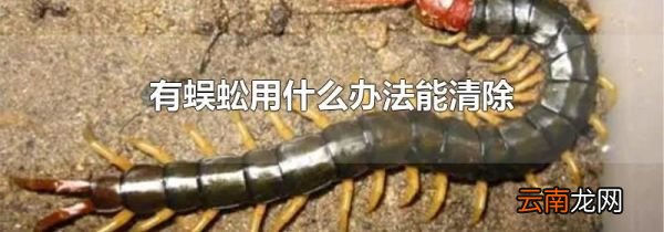 有蜈蚣用什么办法能清除