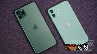 苹果11和苹果11Pro的区别