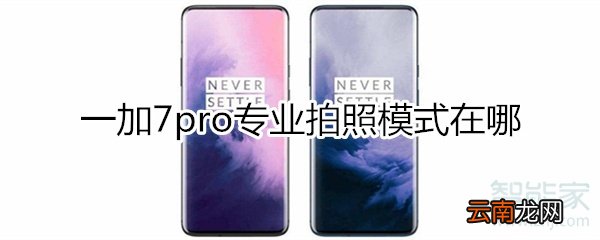 一加7pro专业拍照模式在哪