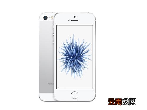 iphone中更改dns具体操作流程