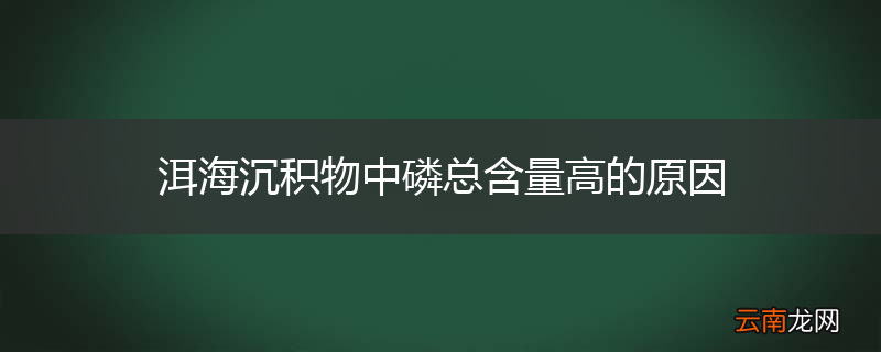洱海沉积物中磷总含量高的原因