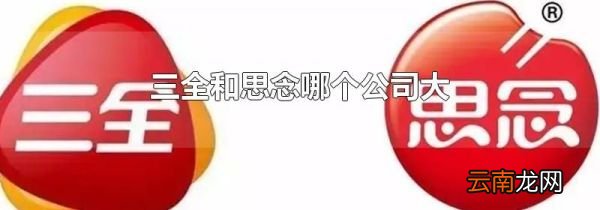 三全和思念哪个公司大
