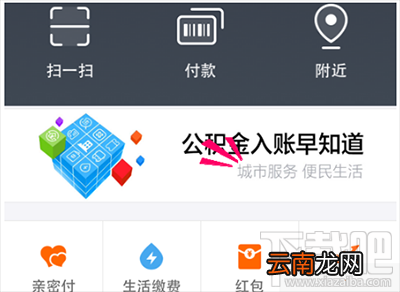 支付宝查询驾照扣分记录方法