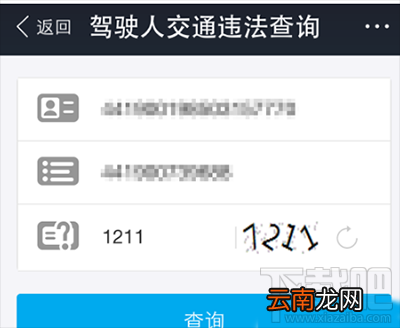 支付宝查询驾照扣分记录方法