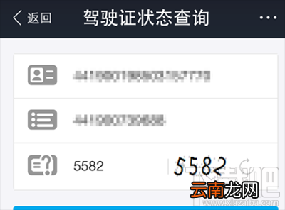 支付宝查询驾照扣分记录方法