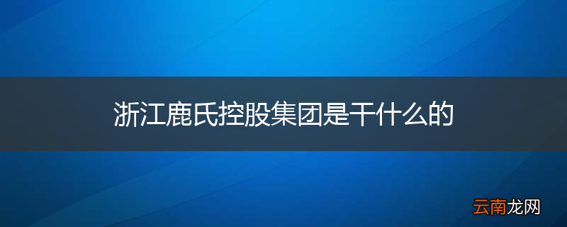 浙江鹿氏控股集团是干什么的