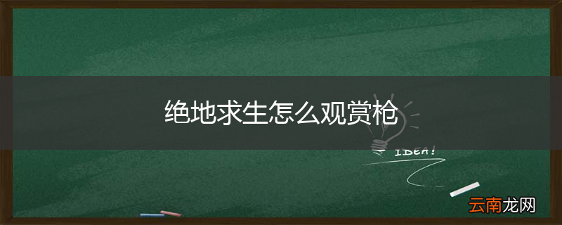 绝地求生怎么观赏枪