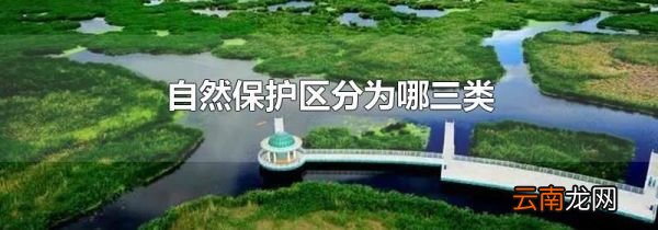 自然保护区分为哪三类