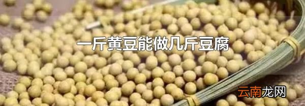 一斤黄豆能做几斤豆腐