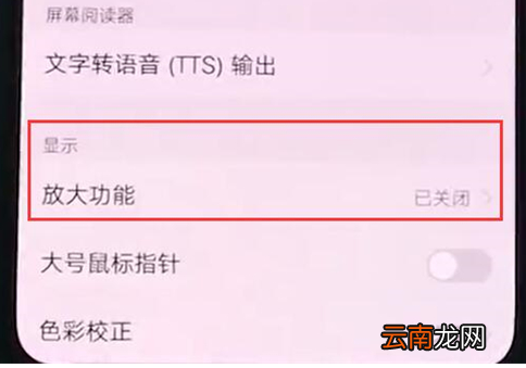vivonex双屏版中开启放大手势具体操作步骤