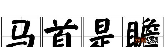 “马首是瞻”由什么典故而来？