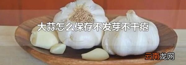大蒜怎么保存不发芽不干瘪