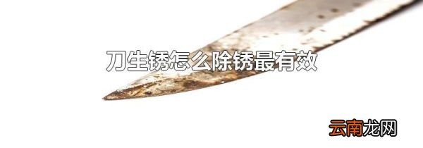 刀生锈怎么除锈最有效