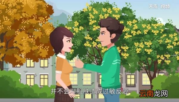 pt950是什么金pt950是什么意思