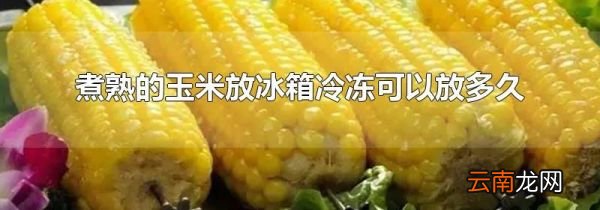 煮熟的玉米放冰箱冷冻可以放多久