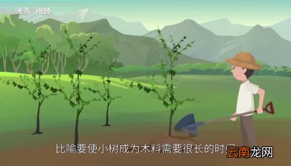 十年树木百年树人什么意思 十年树木百年树人的意思